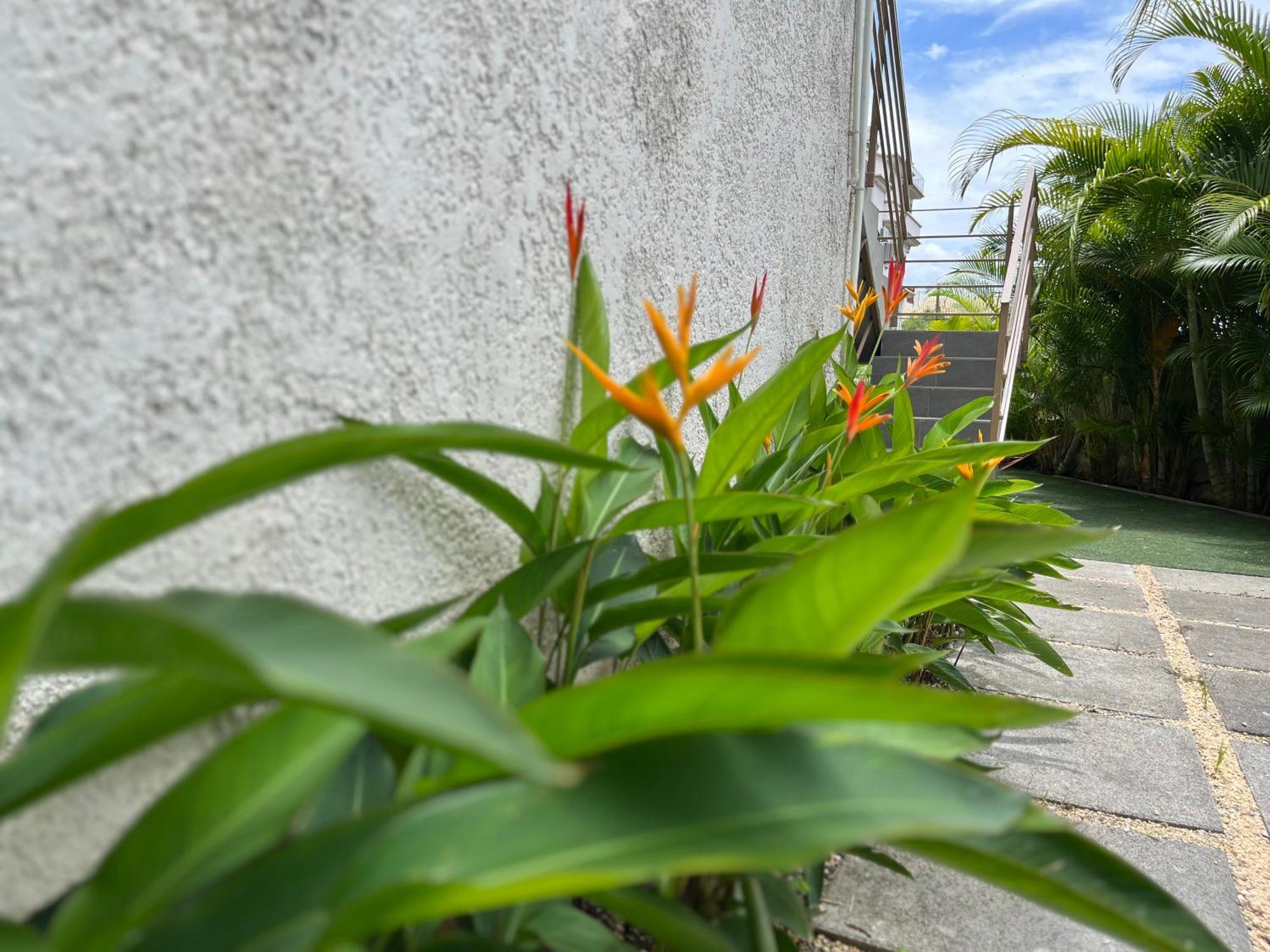 Cosy 2 Bedrooms Apts In Pereybere -Seasons Break Apartment Pereybere Beach Luaran gambar
